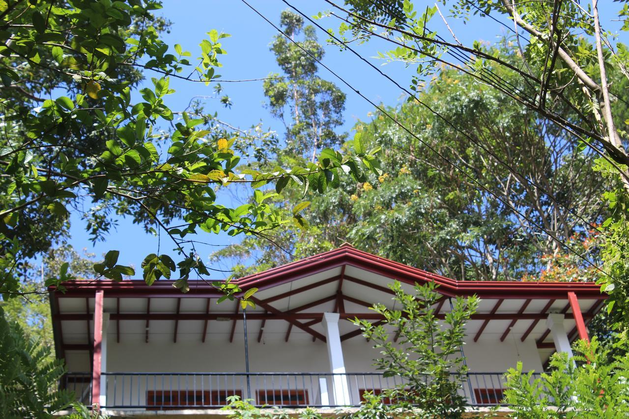 Amado Homestay Ella Exterior photo