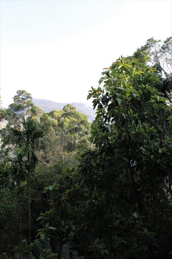 Amado Homestay Ella Exterior photo