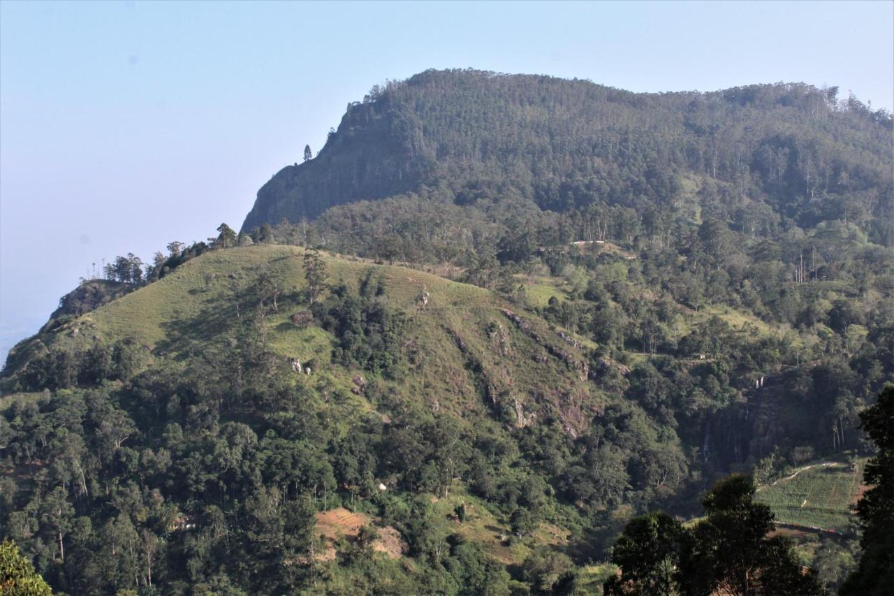 Amado Homestay Ella Exterior photo